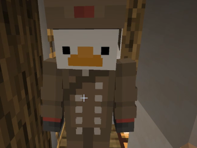 Duck Dressed in a Commander Outfit